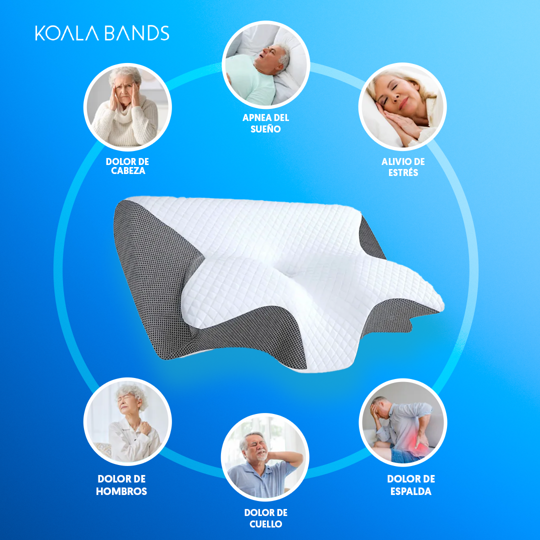 Almohada mariposa | compre 1 lleve 1 gratis