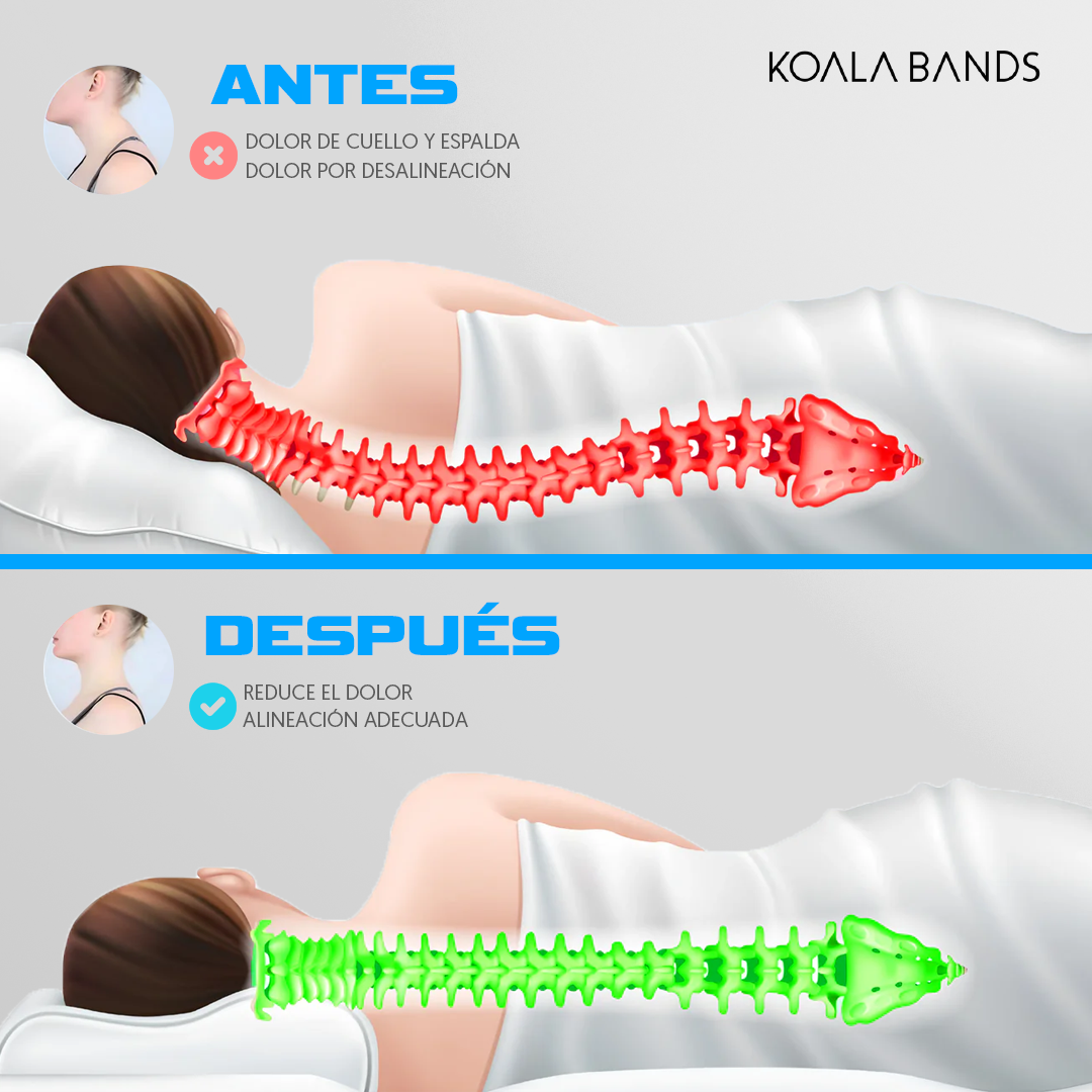 Almohada mariposa | compre 1 lleve 1 gratis